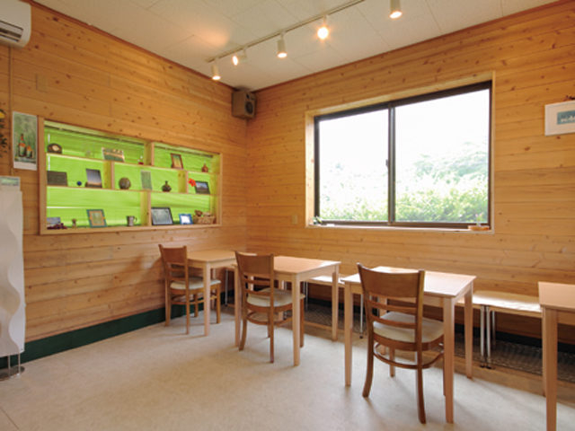 屋久島オリオン