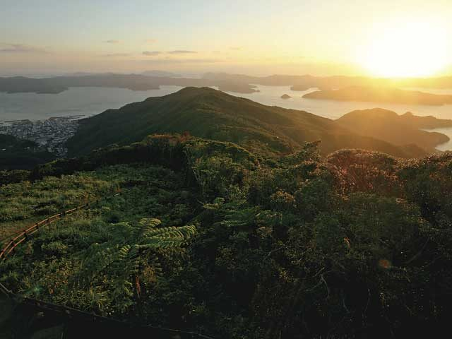 【奄美大島 中南部の観光情報】高知山展望台