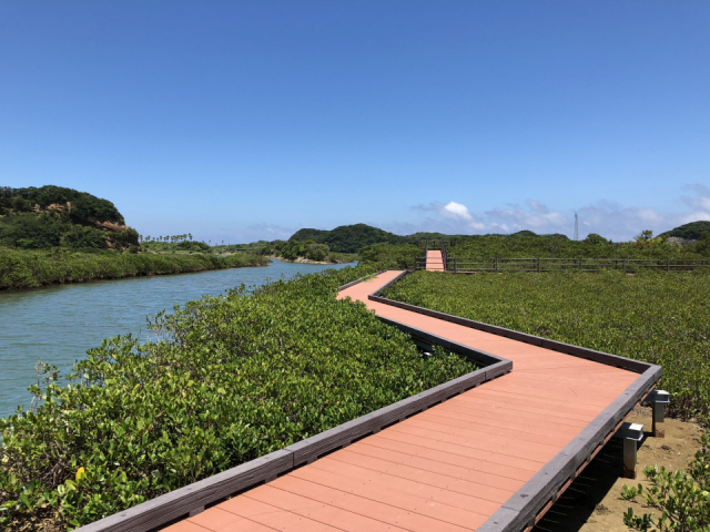 種子島マングローブパーク