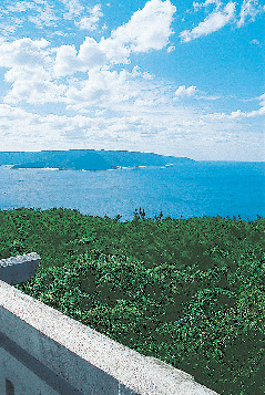 【奄美大島北部の観光情報】蒲生崎観光公園