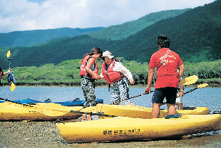 【奄美大島観光×2泊3日プラン】2日目 14:00 マングローブ原生林のカヌーツアーへ