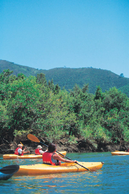 【奄美大島観光×2泊3日プラン】2日目 14:00 マングローブ原生林のカヌーツアーへ