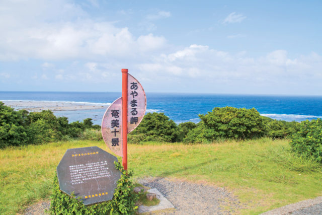 【奄美大島観光×2泊3日プラン】3日目 13:00 プチドライブを楽しもう!