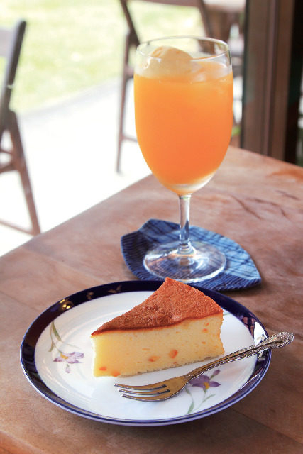 【屋久島のカフェ】喫茶 樹林