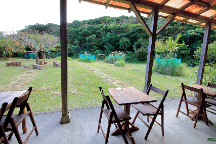 【屋久島のカフェ】喫茶 樹林