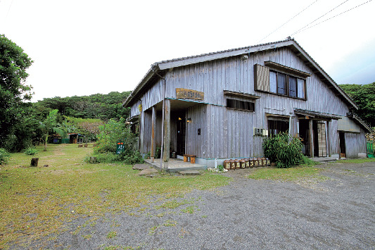 【屋久島のカフェ】喫茶 樹林