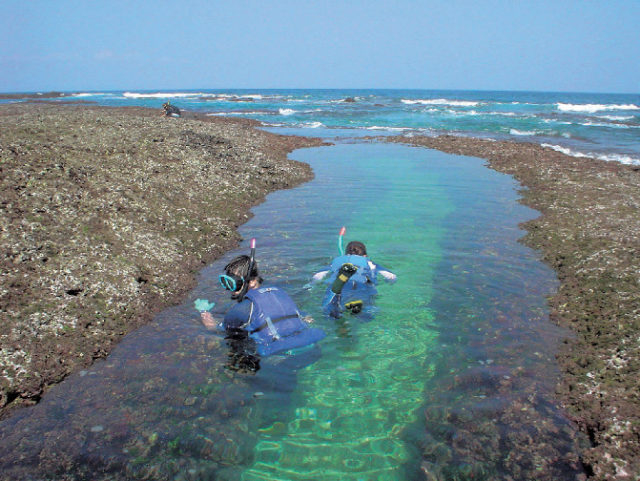 塚崎タイドプール