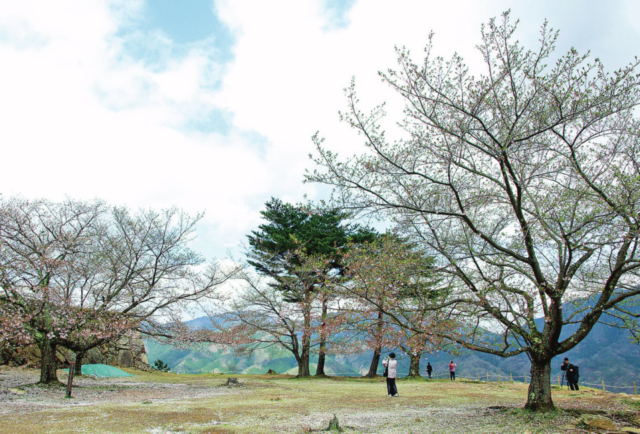 【竹田城跡のめぐり方】③ 北千畳