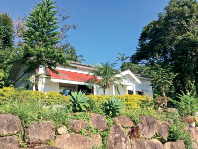 【屋久島ランチの店】屋久島ヴィータキッチン