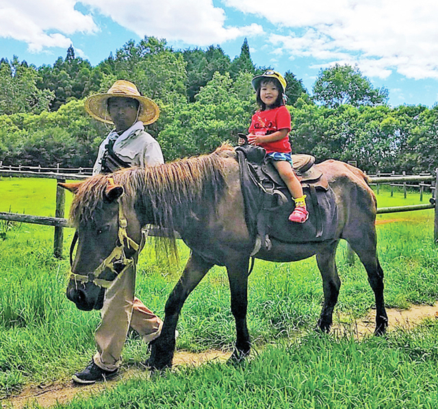 【三瀬高原×ドライブ⑥】遊びのメニューが盛りだくさん「三瀬ルベール牧場どんぐり村」