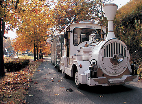 【三瀬高原×ドライブ⑥】遊びのメニューが盛りだくさん「三瀬ルベール牧場どんぐり村」