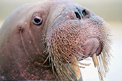 城崎マリンワールド