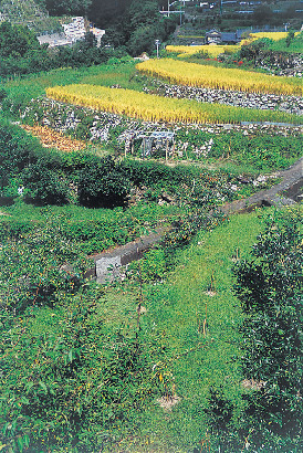 【高知】馬路村へのアクセス