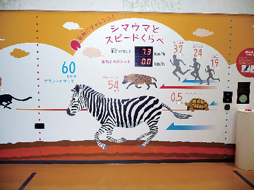 シマウマとスピードくらべ