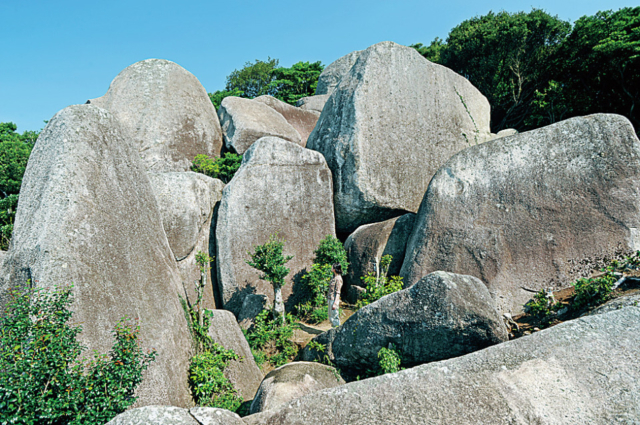 【足摺岬ドライブ立ち寄りスポット】唐人駄場巨石群