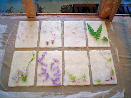 土佐和紙工芸村くらうど