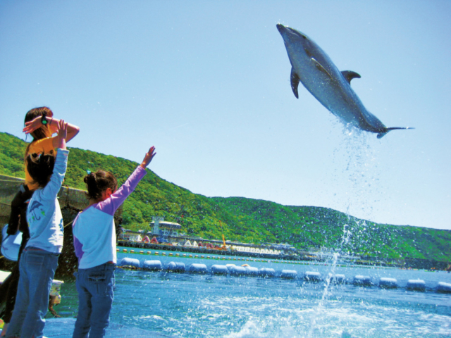室戸ドルフィンセンター