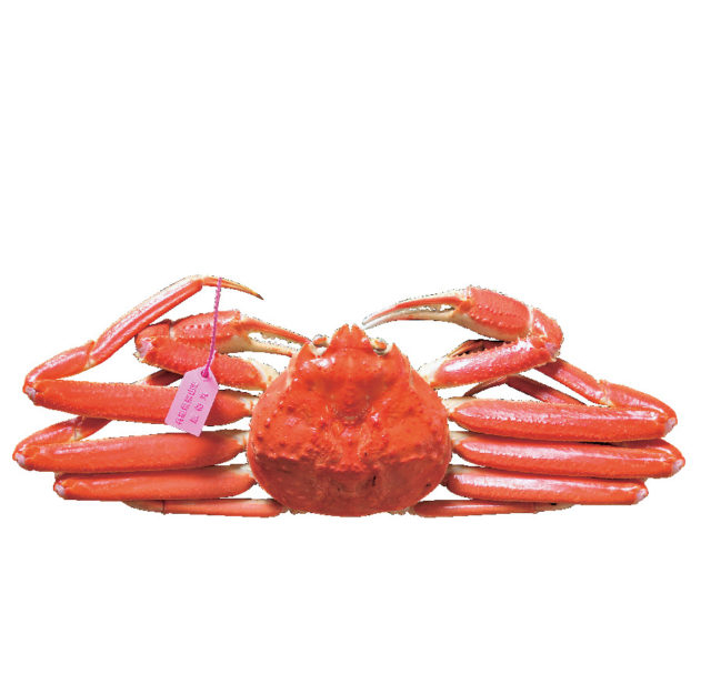 但馬海岸・湯村温泉