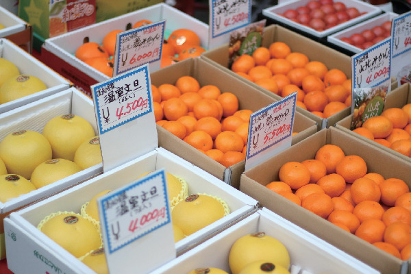 【高知観光おすすめモデルコース①】 1日目:10:10 日曜市