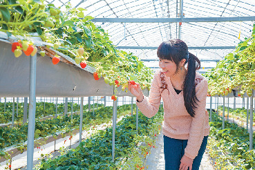 2.1年中スイカ&メロンが食べられる