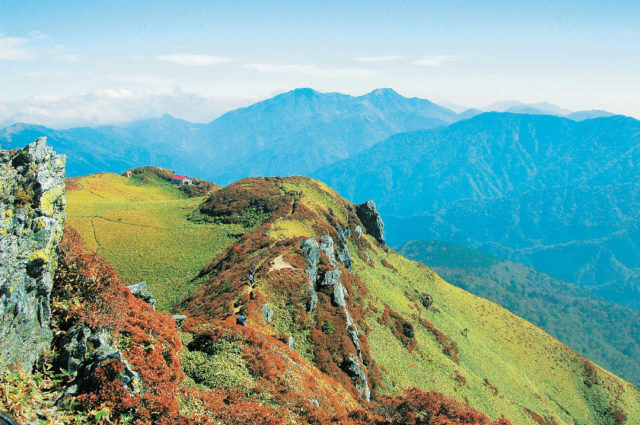 【CLOSE UP】三嶺&白髪山へ登ろう