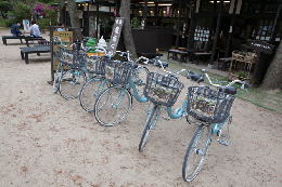 【天橋立の渡り方】徒歩or自転車なら