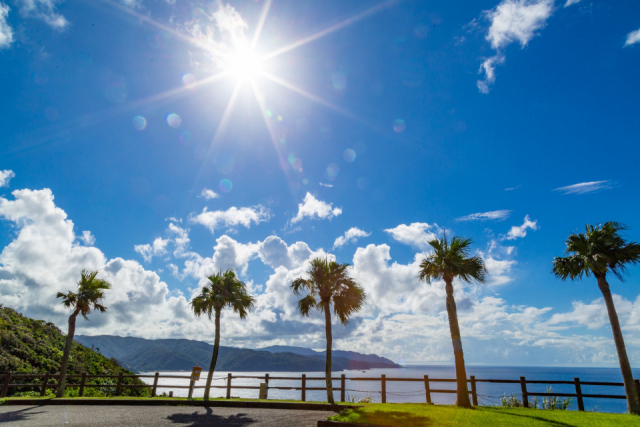 【奄美大島の観光スポット】大浜海浜公園
