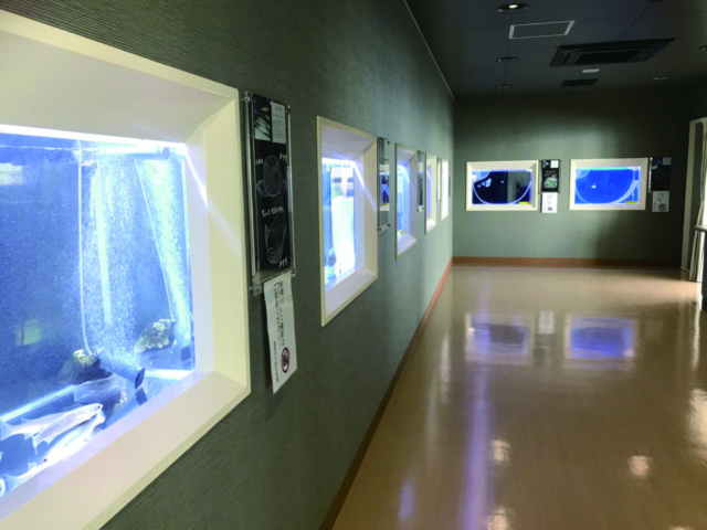 【ここもCheck!】鹿島市干潟交流館