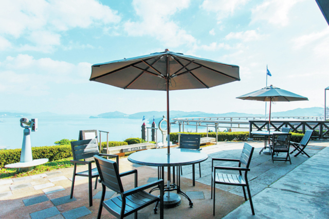 【天橋立×ばんばらこ丼】そびえ立つ板わかめがフォトジェニックな名物丼「天橋立ビューランド展望レストラン」