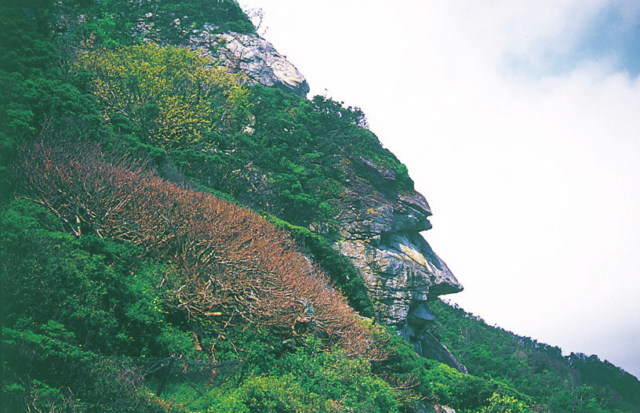 室戸ジオパークらしい見どころがいっぱい