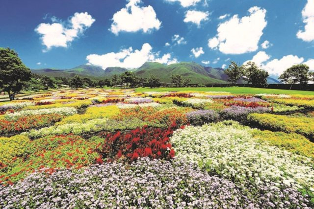 【由布院・阿蘇】春