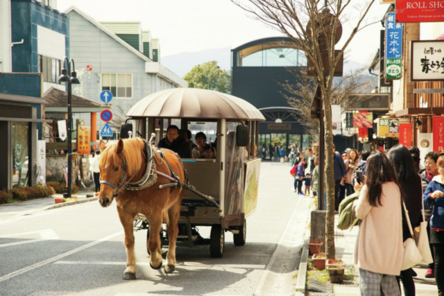 【湯布院×観光】3.由布見通り