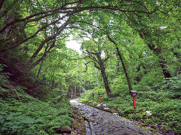 【大山の観光ナビ】大神山神社奥宮