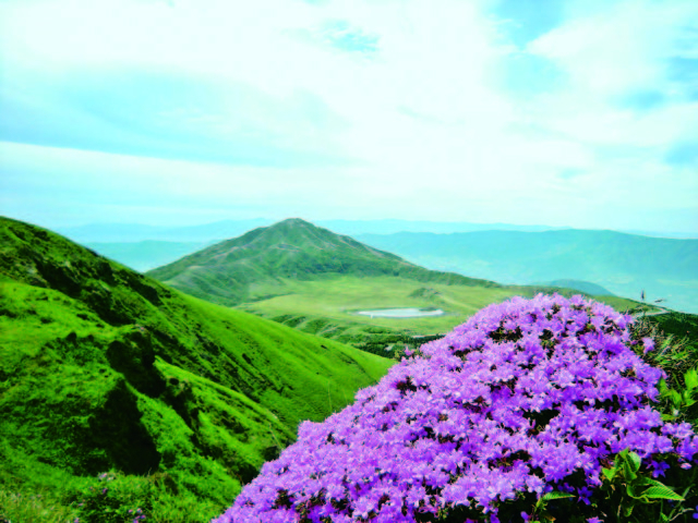 【由布院・阿蘇】春