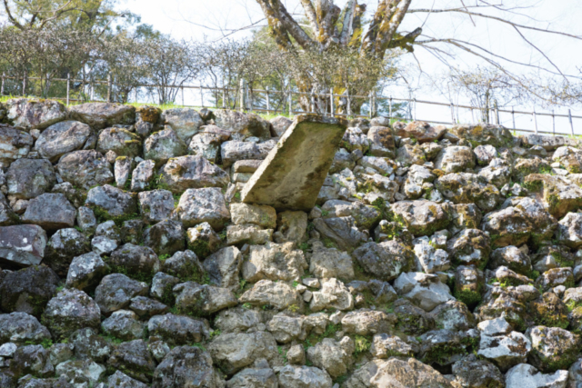工夫された美しい石垣