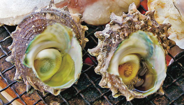 【呼子朝市から車で5分】呼子台場みなとプラザ大漁鮮華でBBQ