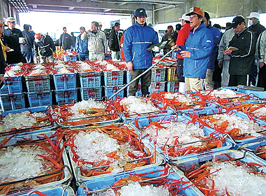 香住(かすみ)のカニ