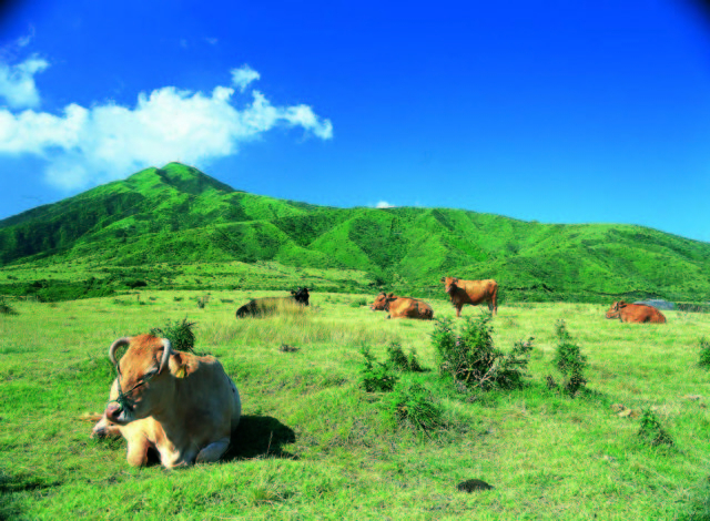 【大分・阿蘇×グルメ】あか牛