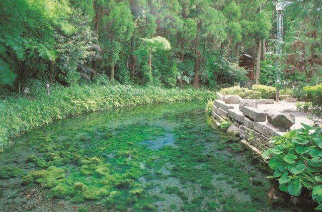 【大分・阿蘇×見どころ】名水