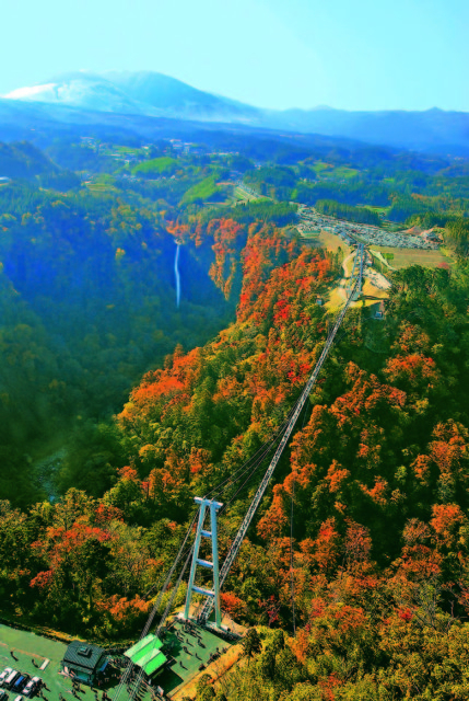 【大分・くじゅう×見どころ】九重“夢”大吊橋