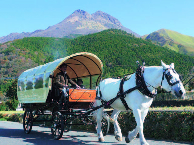 【由布院・阿蘇×観光】由布院