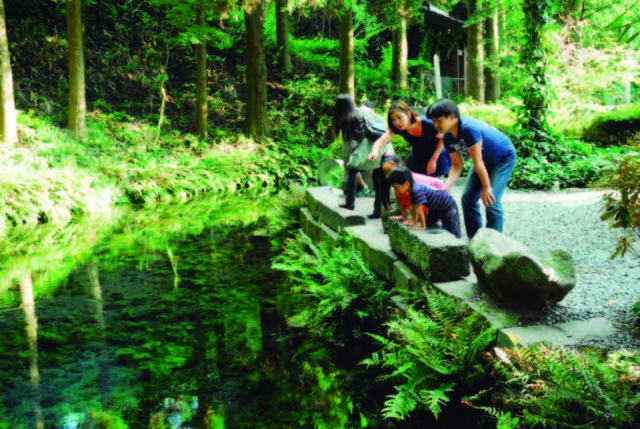 【由布院・阿蘇×観光】阿蘇