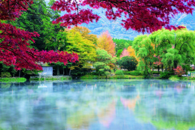 【大分・由布院×見どころ】金鱗湖