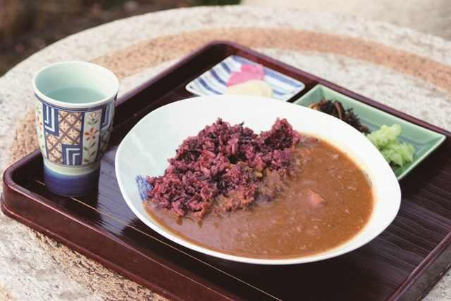 【波佐見のランチスポット】文化の陶 四季舎