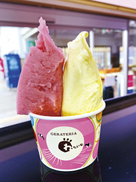 鳥取のおすすめスイーツ2.ジェラテリア わったいな