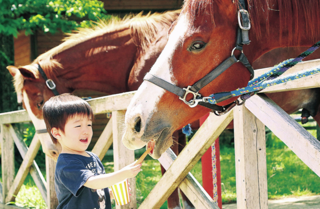 【やまなみハイウェイドライブ②】大自然の中で動物とふれあう「国立公園九重やまなみ牧場」
