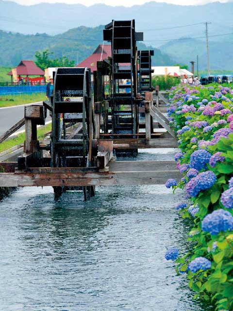 【四万十川×ドライブ】①のどかな風景に癒やされる「安並水車の里」