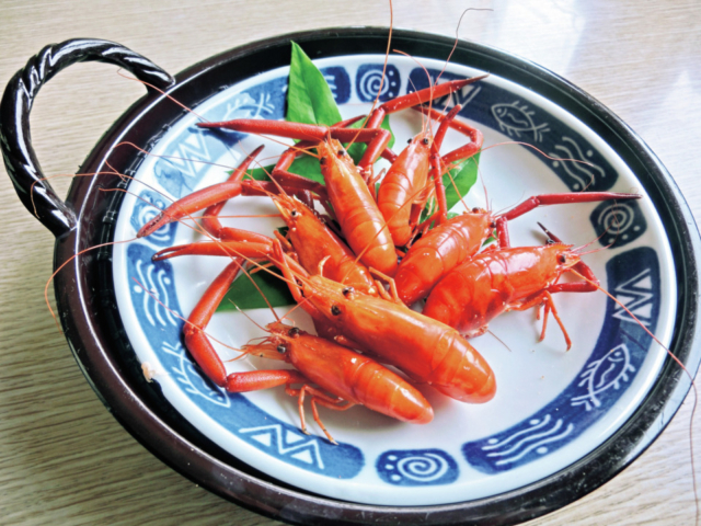 【高知で四万十川の幸グルメが美味い店】いわき食堂