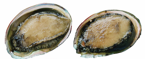 【呼子朝市から車で5分】呼子台場みなとプラザ大漁鮮華でBBQ