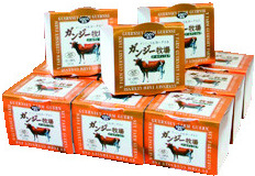 トロッと濃厚なヨーグルト「ガンジー牧場ヨーグルト」